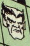 Beast (Earth-20007)