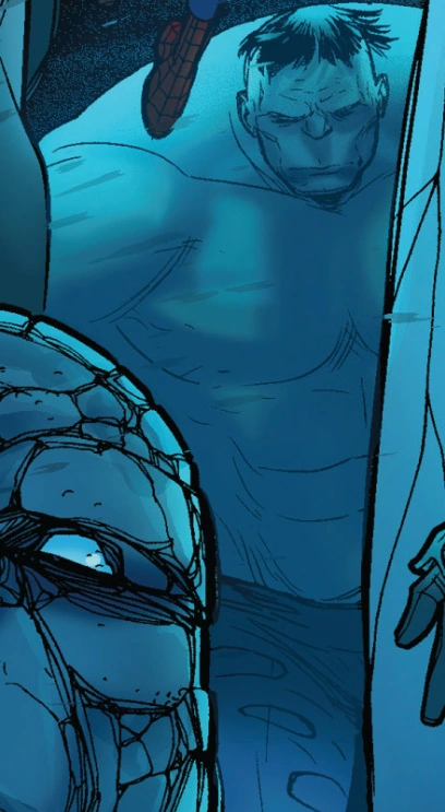 Hulk (Earth-TRN1724)