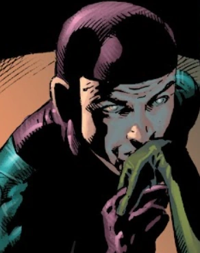 The Cat Burglar (Earth-616)