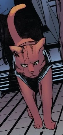 Chewie (Earth-25271)