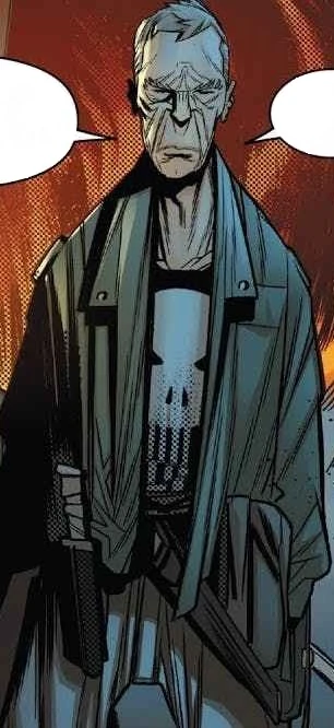 Punisher (Earth-21923)