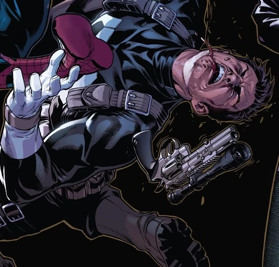 Punisher (Earth-71953)