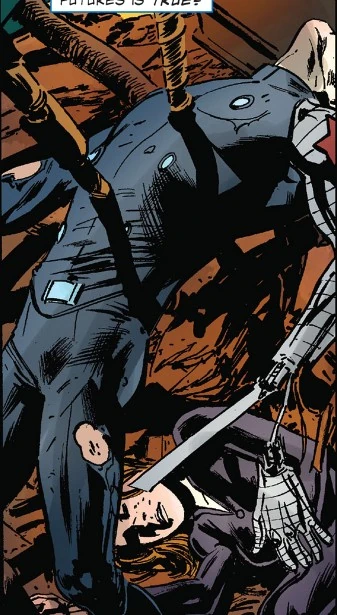 Winter Soldier (Earth-10363)