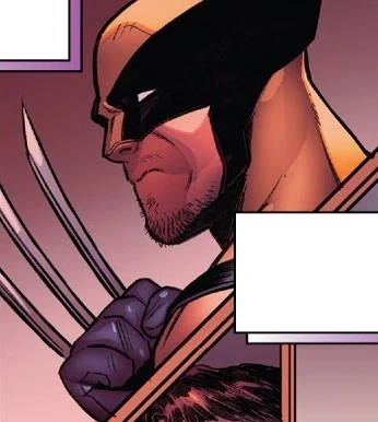 Wolverine (Earth-25271)