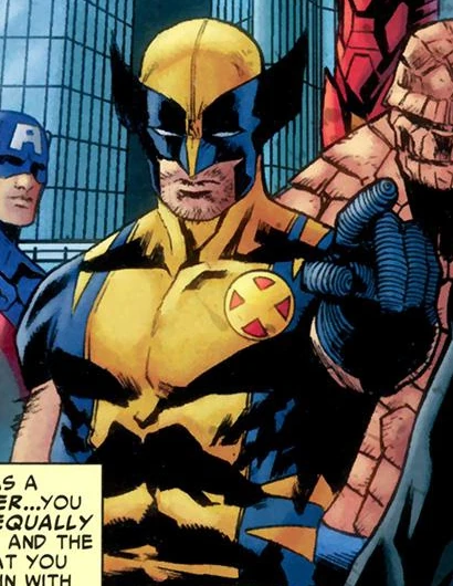 Wolverine (Earth-312500)