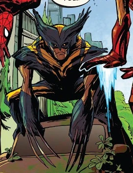 Wolverine (Earth-51912)
