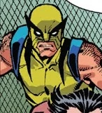 Wolverine (Earth-74135)