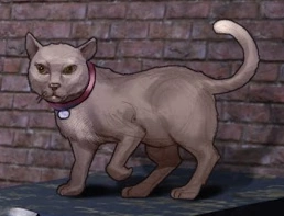 Mister Kitty (Earth-616)