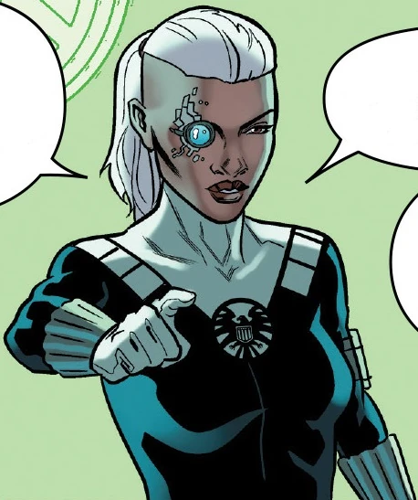 Director Nik Fury (Earth-16713)