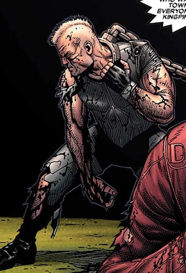 Punisher (Earth-807128)