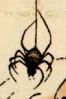 Radioactive Spider (Earth-311)