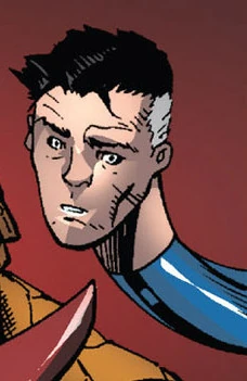 Mister Fantastic (Earth-14110)