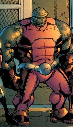 Rockslide (Earth-600123)