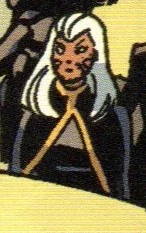 Storm (Earth-TRN1375)