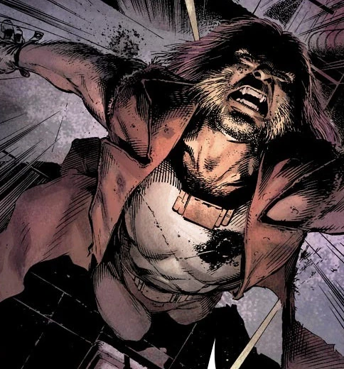 Sabretooth (Earth-58163)