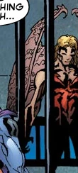 The Fallen (Earth-33629)