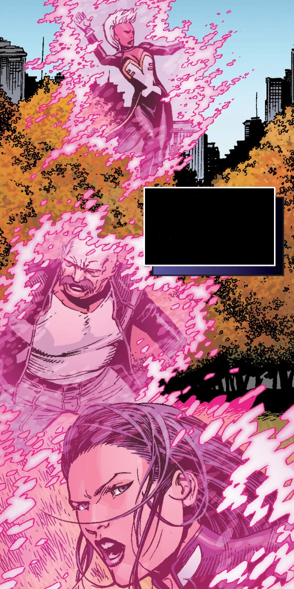 X-Force (Earth-13133)
