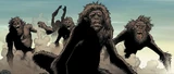 Australopithecus