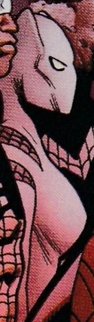 White Tiger (Earth-14314)