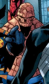 Thing (Earth-312500)