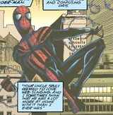 Spider-Man (Earth-982)