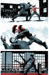 Black Widow Ops Program (Earth-616)