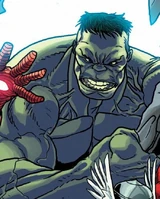 Hulk (Earth-14325)