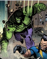Hulk (Earth-26111)