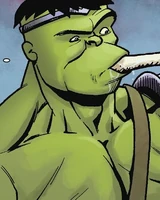 Hulk (Earth-71143)
