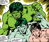 Hulk (Earth-8110)