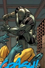 Citadel (Earth-616)