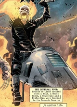 Ghost Rider (Earth-91240)