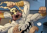 Iron Fist (Earth-19919)