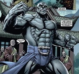 David Banner (Earth-311)