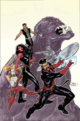 Defenders (Earth-11127)