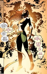Iron Fist/Phoenix (Earth-616)
