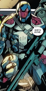 Punisher (Earth-32323)