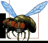 Hive (Earth-616)