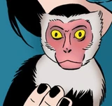 Hei Hei (Earth-616)
