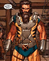 Wolverine (Earth-10511)