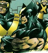 Wolverine (Earth-1081)