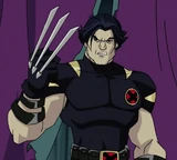 Wolverine (Earth-11052)