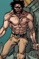 Wolverine (Earth-24201)