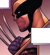 Wolverine (Earth-25271)