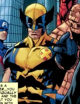 Wolverine (Earth-312500)