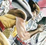 Wolverine (Earth-41625)