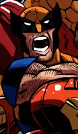 Wolverine (Earth-81156)