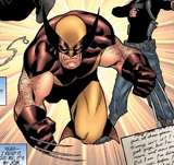 Wolverine (Earth-8351)