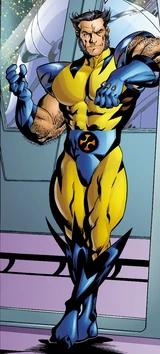 Wolverine (Earth-8649)