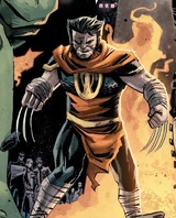 Wolverine (Earth-91240)